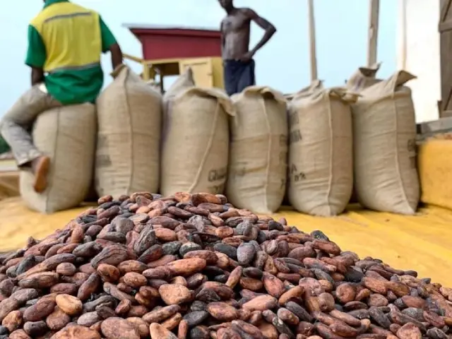 Sac cacao wadnuts